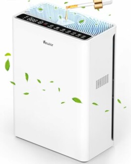 Air purifier with essential oil dropper and floating leaves.