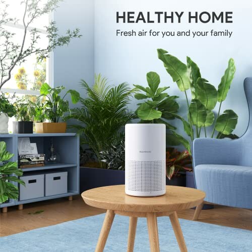 FULMINARE H13 True HEPA Air Filter