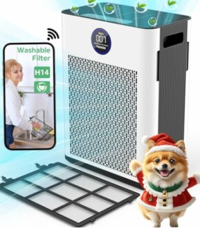 FRESHDEW Air Purifier