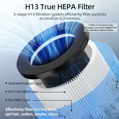 Diagram of H13 True HEPA filter with labeled layers and features.