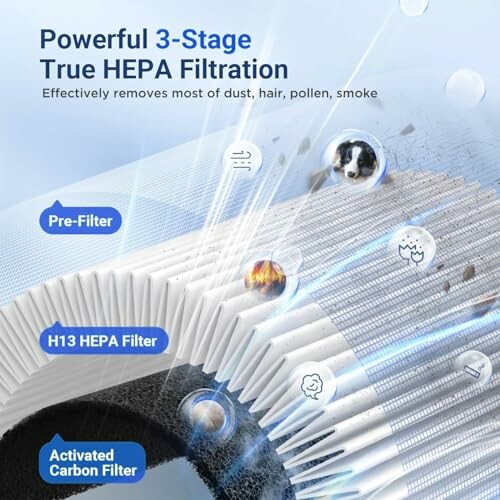 Infographic of a 3-stage True HEPA filtration system with pre-filter, H13 HEPA filter, and activated carbon filter.