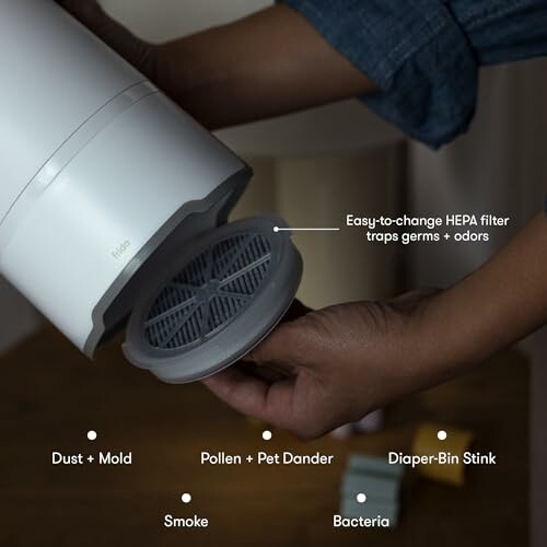 Person changing HEPA filter with labeled benefits: traps dust, mold, pollen, pet dander, smoke, bacteria, and odors.