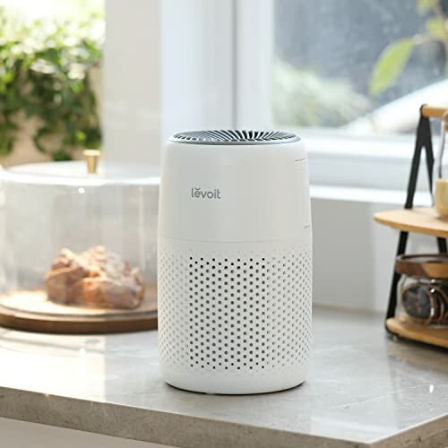 LEVOIT Mini Air Purifier